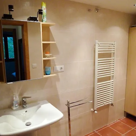 Apartamentos Sallent De Gallego Apartment Sallent De Gallego